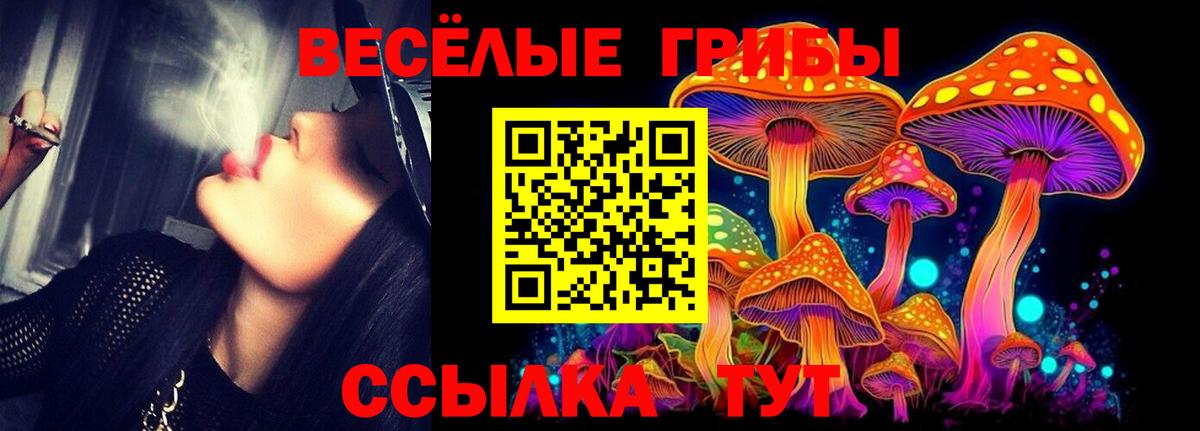 Галлюциногенные грибы мухоморы  Вход с VPN  магазин продажи наркотиков  Димитровград  Галлюциногенные грибы мухоморы 